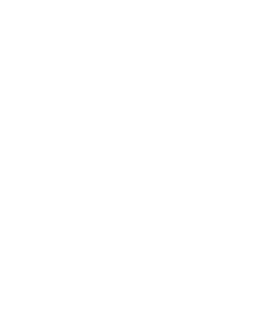 Houmt Souk hat etwa 65.000 Einwohner und ist der Hauptort von Djerba. Der Ort hat eine lange Handelstradition. Hiervon zeugen mehrere alte Karawanserei. Schon die Römer gründeten hier einen Ort namens Griba. In Houmt Souk befinden sich viele touristische Einkaufsmöglichkeiten, die Verwaltung der Insel und ein kleiner Fischereihafen. Sehenswert ist die Festung Bordj-el-Kebir (eine Piratenfestung) und das Volkskundemuseum.